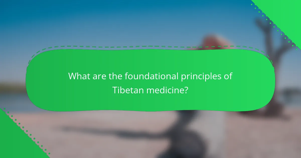 What are the foundational principles of Tibetan medicine?