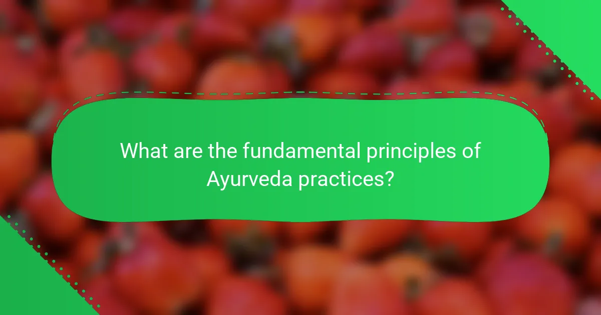 What are the fundamental principles of Ayurveda practices?