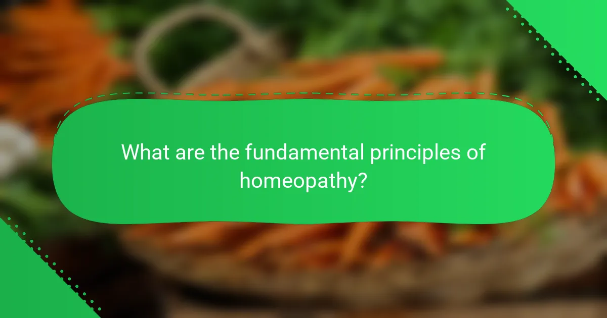 What are the fundamental principles of homeopathy?