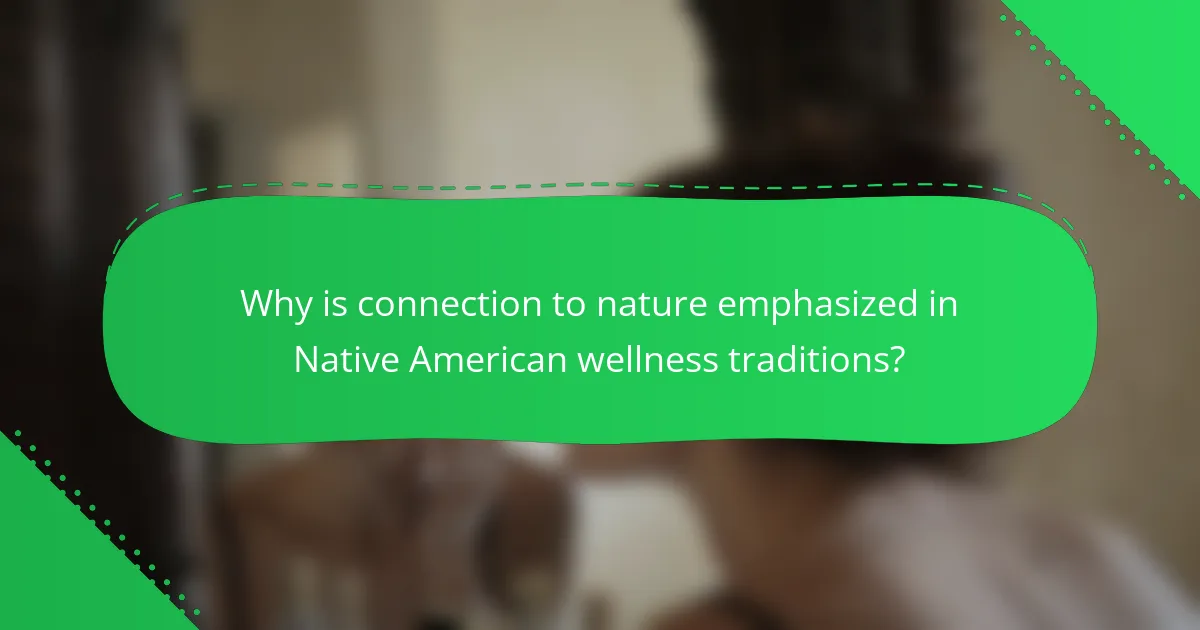 Why is connection to nature emphasized in Native American wellness traditions?